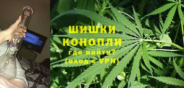 соль ск Алексин